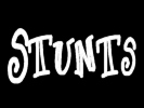 Stunt Gallery